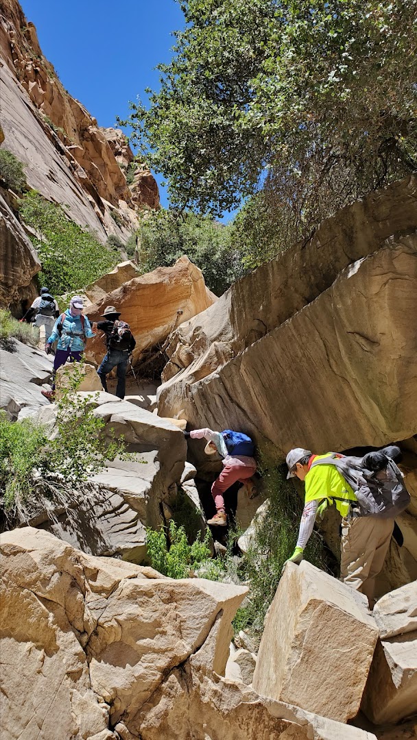 Red Rock Canyon National Conservation Area