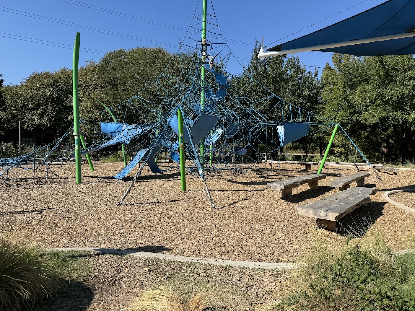 Alliance Children's Garden