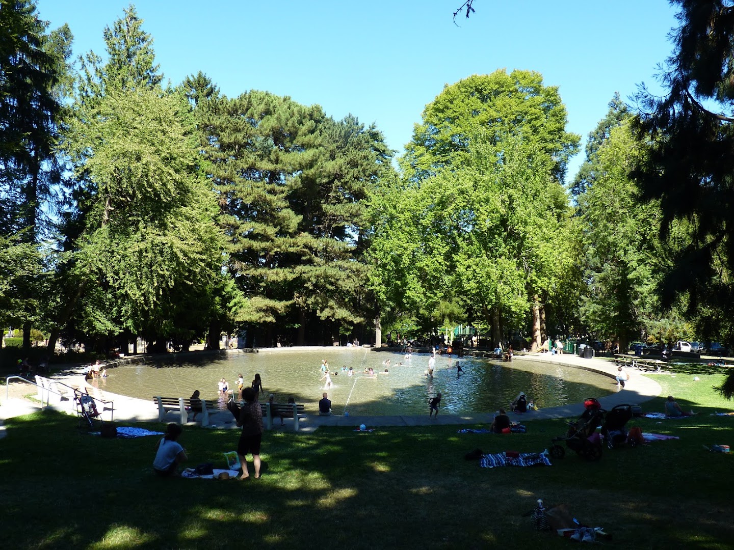 Volunteer Park